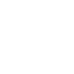 customer reviews icon